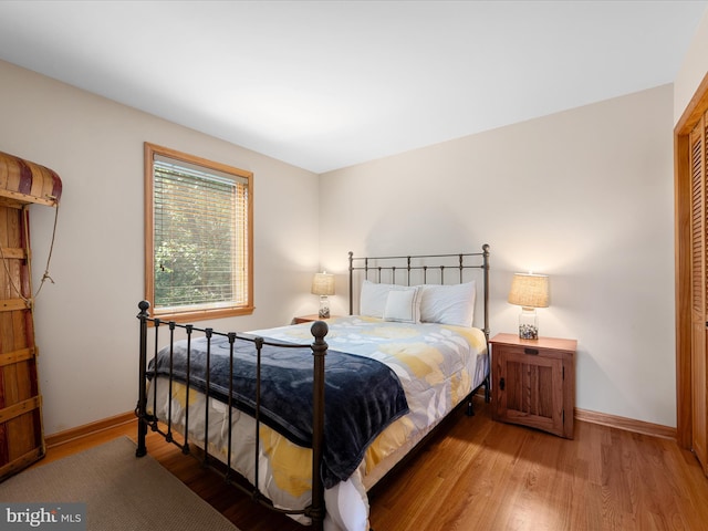 218 Nelson Way, Basye, VA 22810 - bedroom featuring baseboards, wood finished floors, and a closet