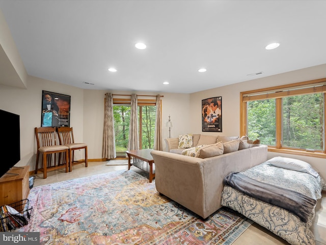218 Nelson Way, Basye, VA 22810 - living area featuring recessed lighting, healthy amount of natural light, and baseboards