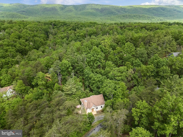 218 Nelson Way, Basye, VA 22810 - aerial overview of property's location with a forest and a mountain backdrop