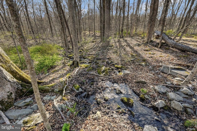 3115 Sparrow Ct, East Stroudsburg, PA 18302 - view of local wilderness