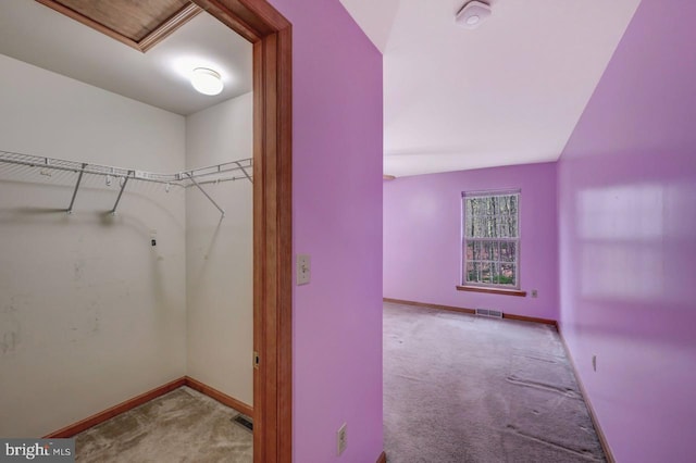 3115 Sparrow Ct, East Stroudsburg, PA 18302 - walk in closet featuring carpet flooring