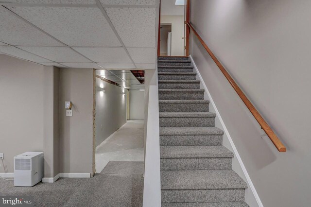 3115 Sparrow Ct, East Stroudsburg, PA 18302 - stairway featuring a paneled ceiling, carpet flooring, and baseboards