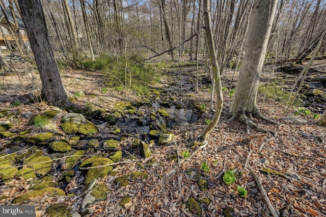 3115 Sparrow Ct, East Stroudsburg, PA 18302 - view of local wilderness