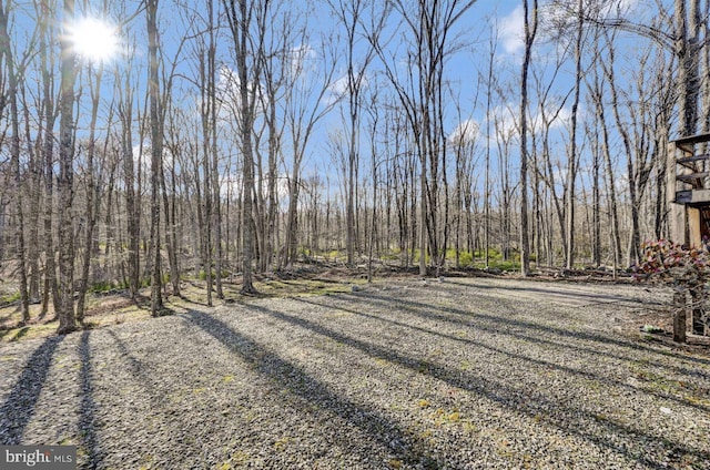 3115 Sparrow Ct, East Stroudsburg, PA 18302 - view of yard