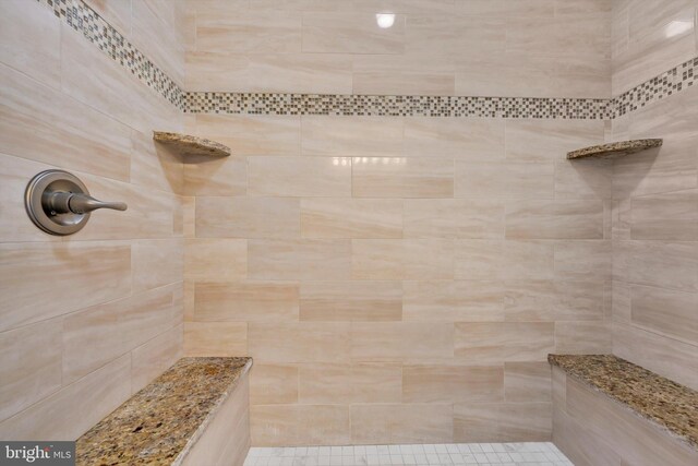 118 Connecticut Ave, Sinking Spring, PA 19608 - full bath with tiled shower