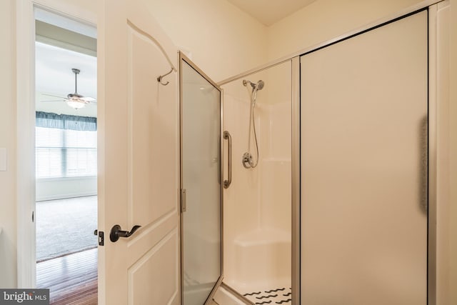 5529 Briar Ln, Whitehall, PA 18052 - full bath with a stall shower and a ceiling fan