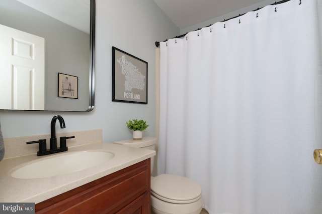 40 Grays Ln, Elverson, PA 19520 - full bathroom with vanity, toilet, and a shower with shower curtain