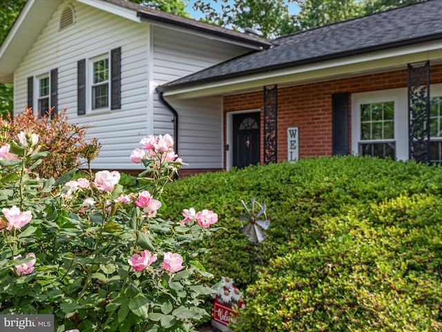 13610 Aden Rd, Nokesville, VA 20181 - view of front of house with brick siding and roof with shingles