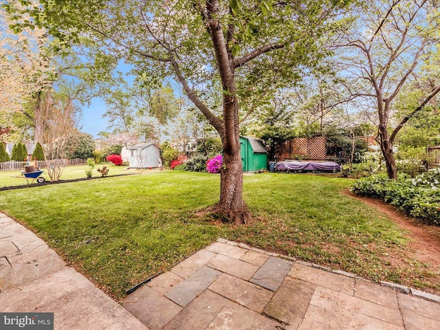 9905 Portland Rd, Silver Spring, MD 20901 - view of yard