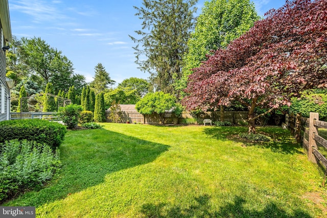 503 Emily Cir, West Chester, PA 19382 - view of yard