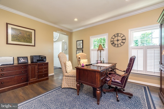 17 Brinker Dr Unit N, Doylestown, PA 18901 - office area featuring dark wood-style floors, crown molding, baseboards, and recessed lighting