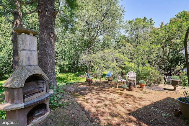 37193 Adams Green Ln, Middleburg, VA 20117 - view of yard