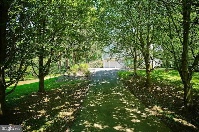 37193 Adams Green Ln, Middleburg, VA 20117 - view of yard featuring driveway and an attached garage