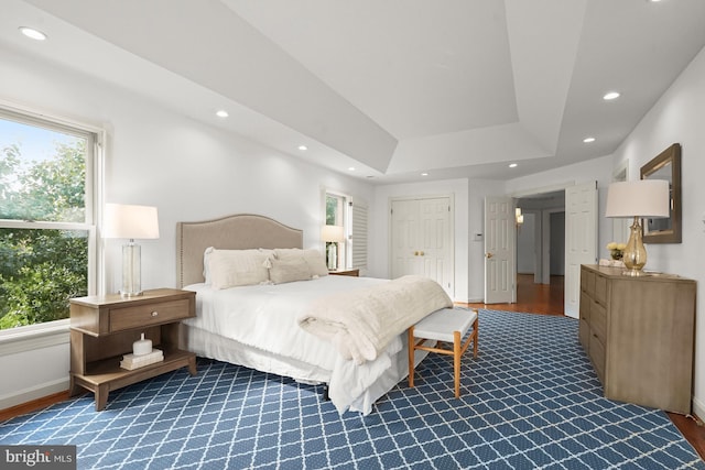 6638 Hampton View Pl, Mclean, VA 22101 - bedroom featuring multiple windows, recessed lighting, a tray ceiling, and wood finished floors