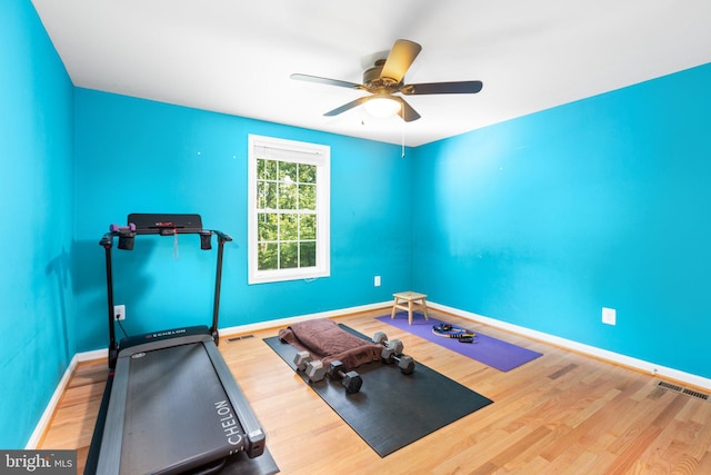 3 Cove Ct, Stafford, VA 22554 - workout area featuring wood finished floors, a ceiling fan, and baseboards