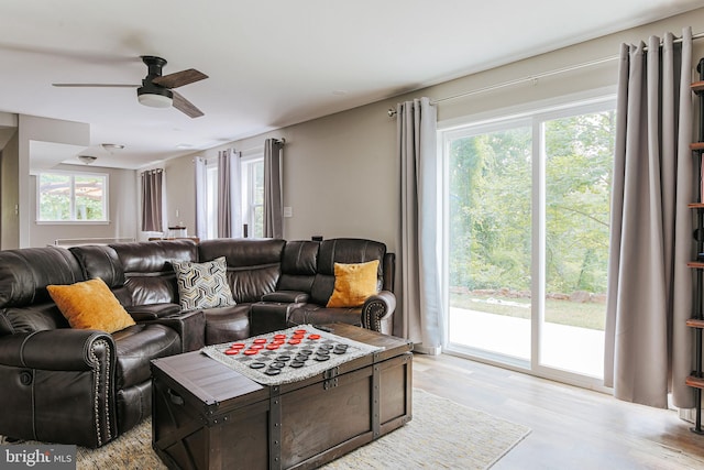 726 Harmony Orchard Rd, Front Royal, VA 22630 - living room featuring ceiling fan and light wood-style floors