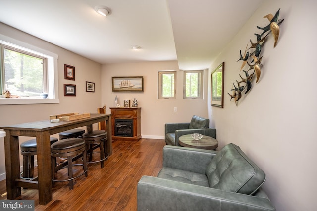 2250 Hoyes Run Rd, Mc Henry, MD 21541 - dining room with wood finished floors, healthy amount of natural light, a glass covered fireplace, and baseboards