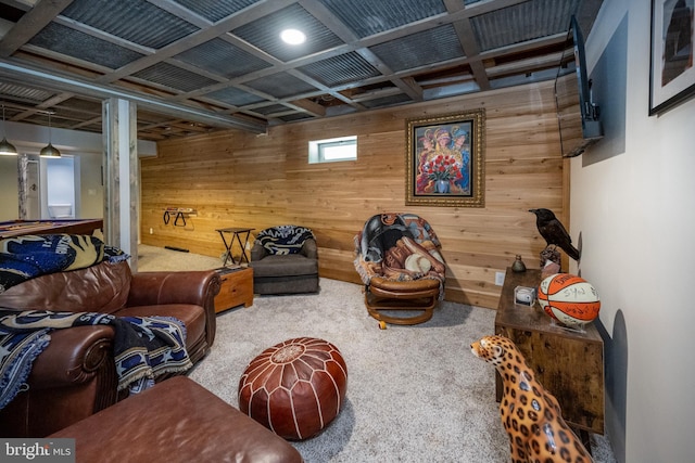 2250 Hoyes Run Rd, Mc Henry, MD 21541 - carpeted living area with wooden walls