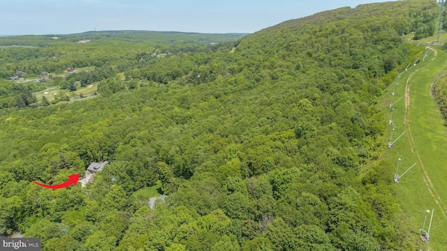 2250 Hoyes Run Rd, Mc Henry, MD 21541 - bird's eye view of a forest