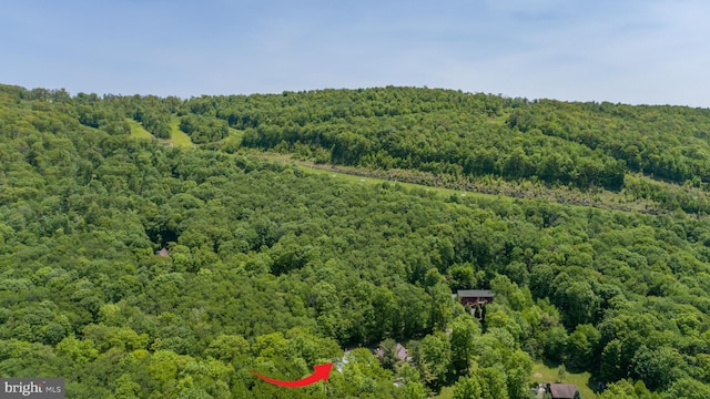 2250 Hoyes Run Rd, Mc Henry, MD 21541 - drone / aerial view of a heavily wooded area