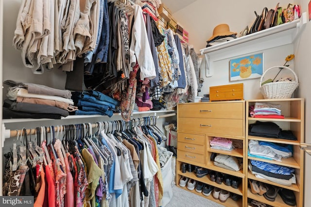 145 Center St S Unit 4, Vienna, VA 22180 - view of walk in closet