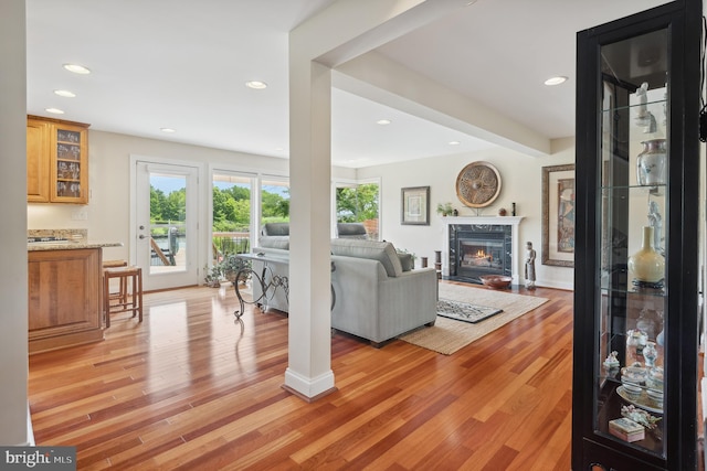 1028 Sandpiper Ln, Annapolis, MD 21403 - living room featuring light wood-style floors, a premium fireplace, and recessed lighting