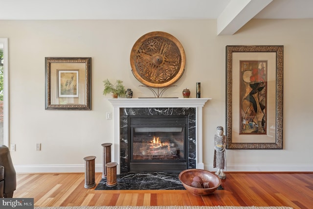 1028 Sandpiper Ln, Annapolis, MD 21403 - detailed view of wood finished floors and a high end fireplace