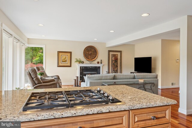 1028 Sandpiper Ln, Annapolis, MD 21403 - kitchen with open floor plan, wood finished floors, light stone counters, recessed lighting, and a high end fireplace