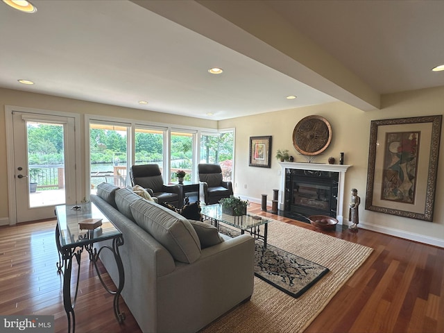 1028 Sandpiper Ln, Annapolis, MD 21403 - living area featuring healthy amount of natural light, baseboards, a premium fireplace, and recessed lighting