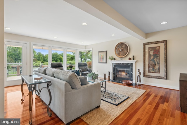 1028 Sandpiper Ln, Annapolis, MD 21403 - living room featuring plenty of natural light, wood finished floors, recessed lighting, a premium fireplace, and baseboards