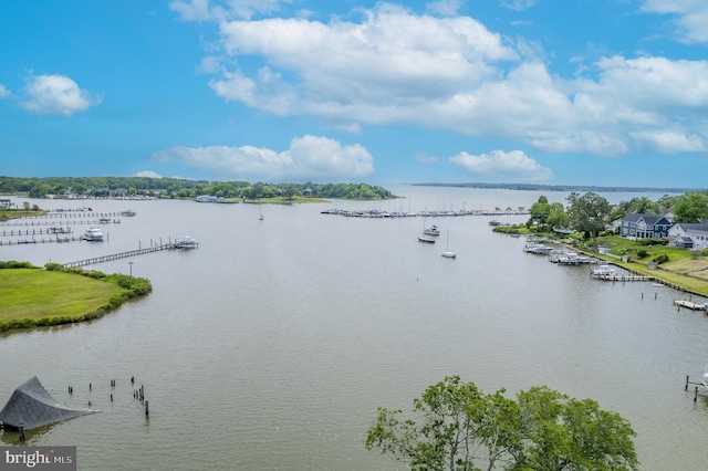 1028 Sandpiper Ln, Annapolis, MD 21403 - water view