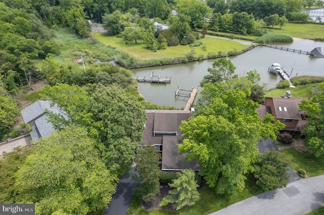 1028 Sandpiper Ln, Annapolis, MD 21403 - aerial view of a large body of water