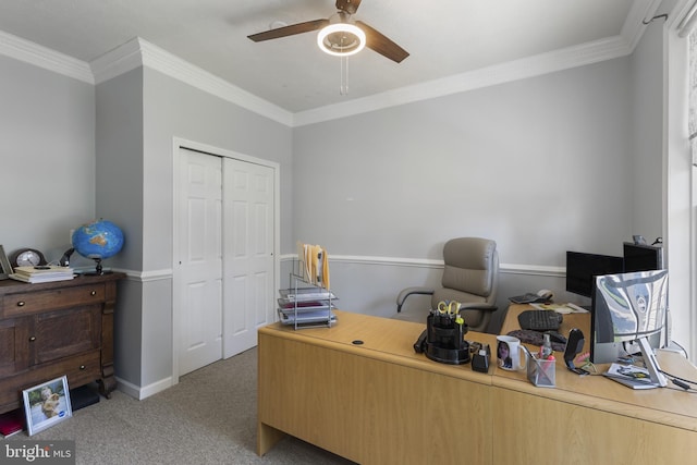 1207 Painted Fern Rd, Denton, MD 21629 - home office with ceiling fan, light colored carpet, and crown molding