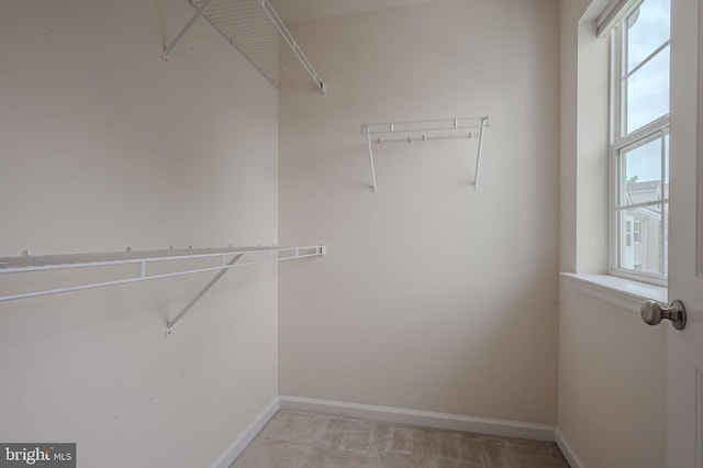309 Latrobe Dr, Newark, DE 19702 - spacious closet with light colored carpet
