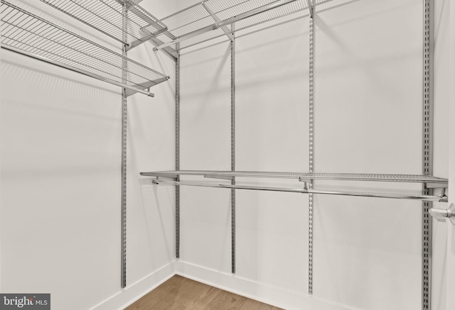 2550 17th St NW Unit 414, Washington, DC 20009 - walk in closet with wood finished floors
