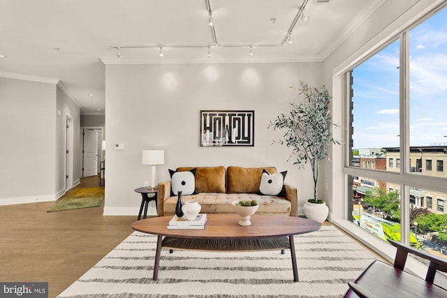 2550 17th St NW Unit 414, Washington, DC 20009 - living area featuring track lighting, wood finished floors, ornamental molding, and baseboards