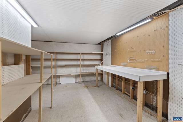 104 Chaucer Rd, Charlottesville, VA 22901 - view of storage area