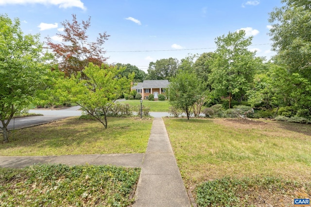 104 Chaucer Rd, Charlottesville, VA 22901 - view of front facade with a front lawn