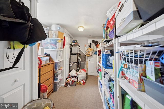 523 Bloomfield Ave, Drexel Hill, PA 19026 - view of storage area