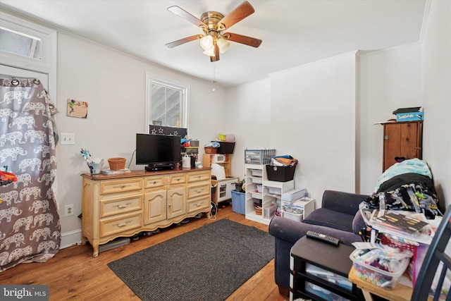 523 Bloomfield Ave, Drexel Hill, PA 19026 - living room with ceiling fan and light wood-type flooring