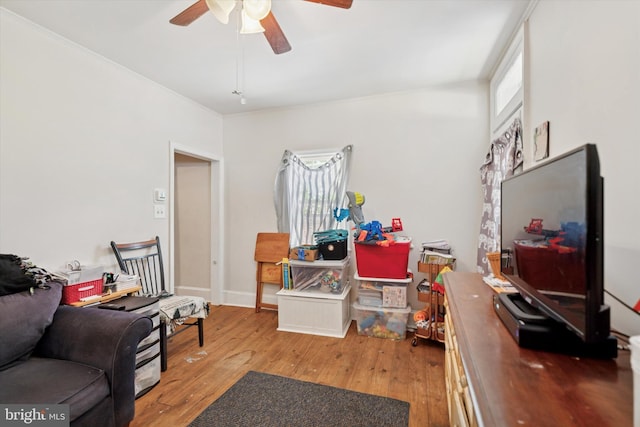 523 Bloomfield Ave, Drexel Hill, PA 19026 - office space featuring ceiling fan and light wood-style flooring