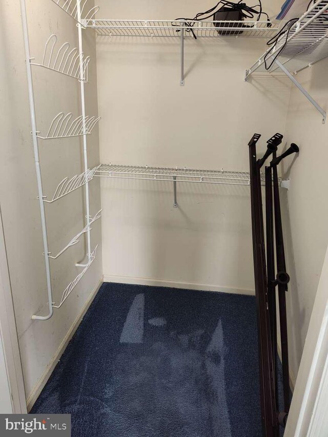 672 Jupiter Hills Ct, Arnold, MD 21012 - spacious closet with carpet floors