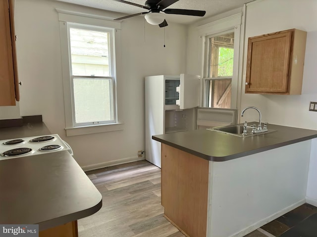 115 Bellevue St, Cumberland, MD 21502 - kitchen featuring a sink, a ceiling fan, a peninsula, light wood-style flooring, and dark countertops