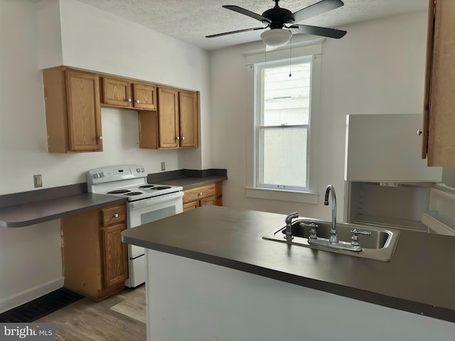 115 Bellevue St, Cumberland, MD 21502 - kitchen with white range with electric stovetop, dark countertops, a sink, a textured ceiling, and light wood-style flooring