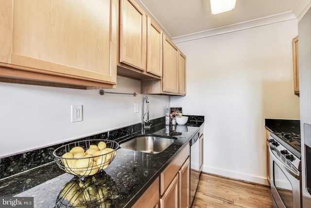 2615 4th St NE Unit 202, Washington, DC 20002 - kitchen with gas range, a sink, light brown cabinetry, light wood finished floors, and baseboards