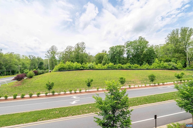 678 Noush Ct Unit A, Charlottesville, VA 22911 - view of green lawn