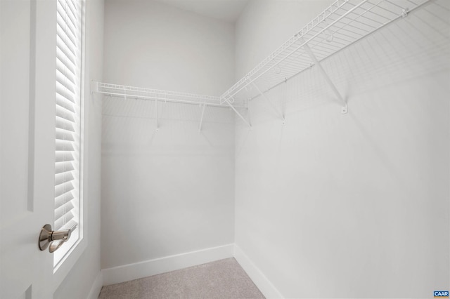 678 Noush Ct Unit A, Charlottesville, VA 22911 - walk in closet with carpet floors