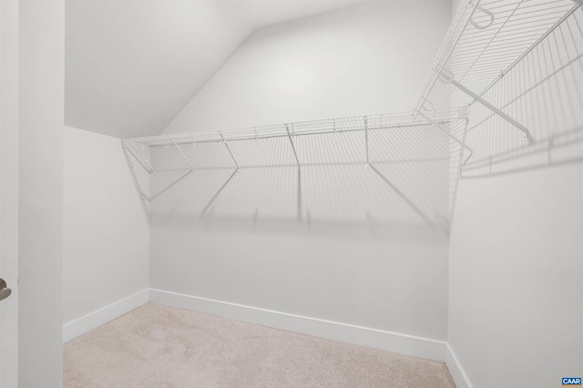 678 Noush Ct Unit A, Charlottesville, VA 22911 - walk in closet featuring lofted ceiling and carpet floors