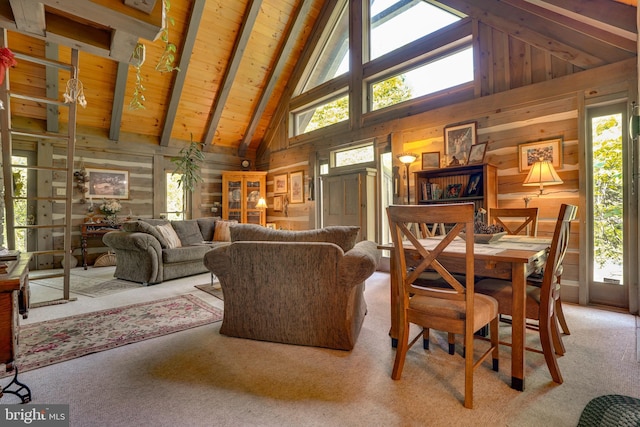 349 Covalt Rd, Needmore, PA 17238 - carpeted living area with wooden walls, plenty of natural light, wooden ceiling with exposed beams, and high vaulted ceiling