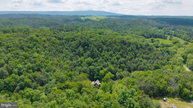 349 Covalt Rd, Needmore, PA 17238 - bird's eye view of a heavily wooded area